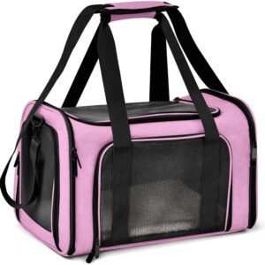 black foldable pet backpack