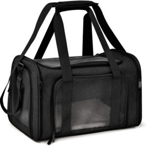 black foldable pet backpack